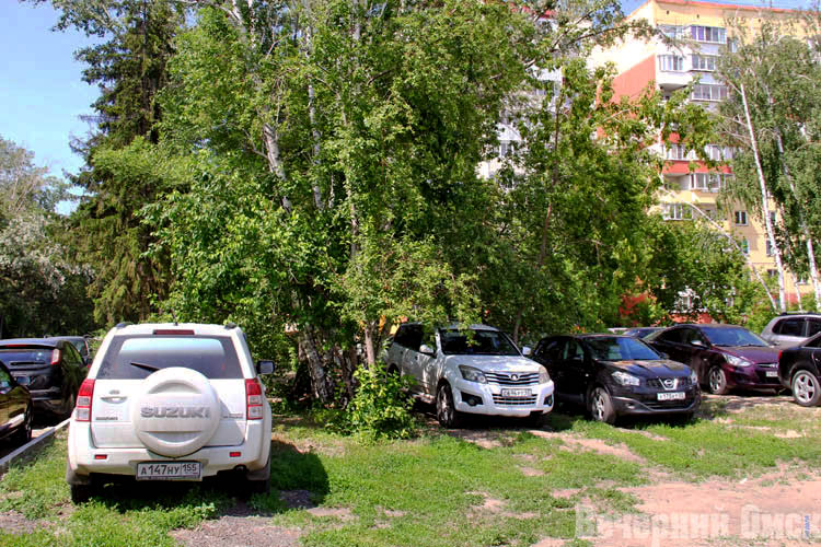 Работа ПаркНет-М в Омске